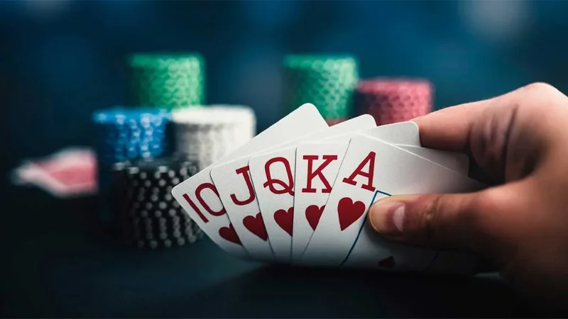 Tổng quan về bài câu cá và chi tiết cách chơi cho mọi bet thủ 1 Sẽ có từ 2 đến 4 người tham gia trong một bàn chơi